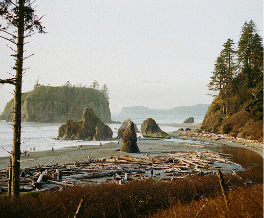 Icon for Washington