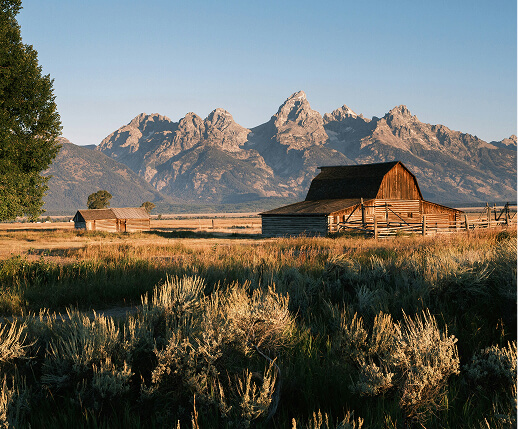 Icon for Wyoming
